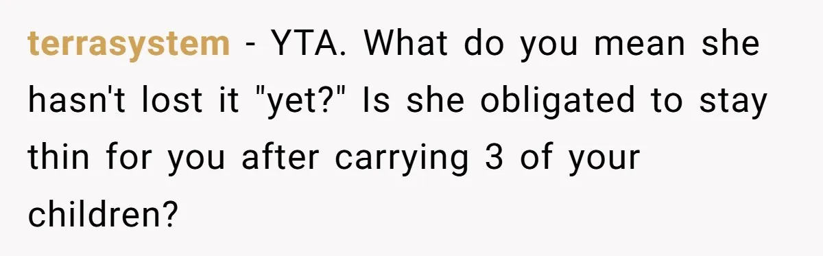 terrasystem − YTA. What do you mean she hasn't lost it "yet?" Is she obligated to stay thin for you after carrying 3 of your children?