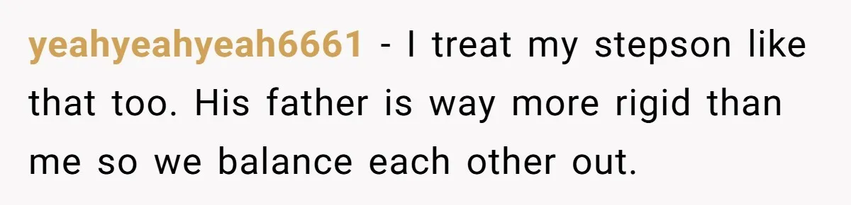 Dad Questions Stepmom's Parenting, Though She Spends Quality Time With Daughter, So She Gives Her Ultimatum yeahyeahyeah6661 − I treat my stepson like that too. His father is way more rigid than me so we balance each other out.