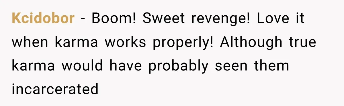 Kcidobor − Boom! Sweet revenge! Love it when karma works properly! Although true karma would have probably seen them incarcerated