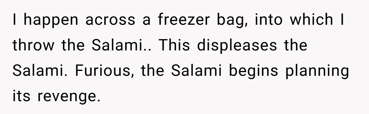 I happen across a freezer bag, into which I throw the Salami.. This displeases the Salami. Furious, the Salami begins planning its revenge.