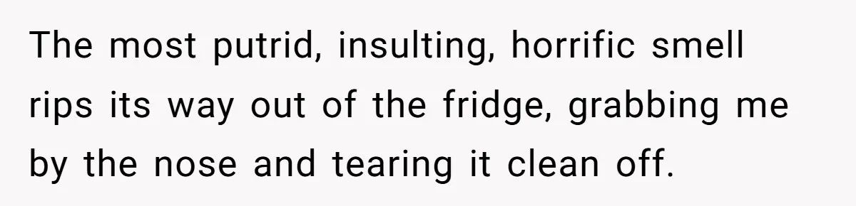 The most putrid, insulting, horrific smell rips its way out of the fridge, grabbing me by the nose and tearing it clean off.
