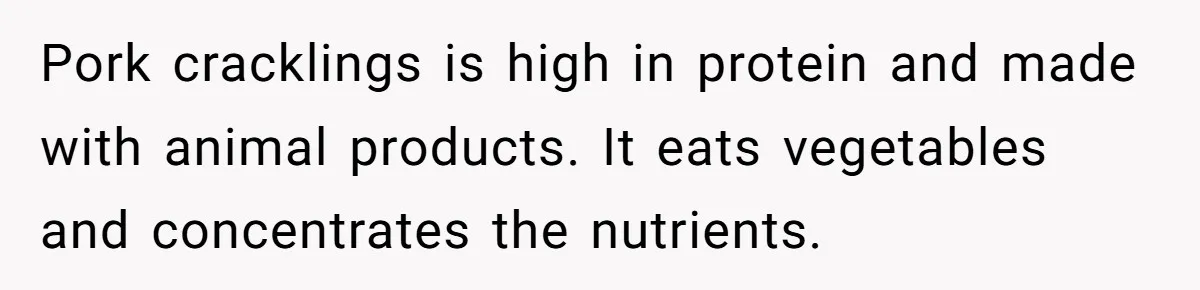 Pork cracklings is high in protein and made with animal products. It eats vegetables and concentrates the nutrients.