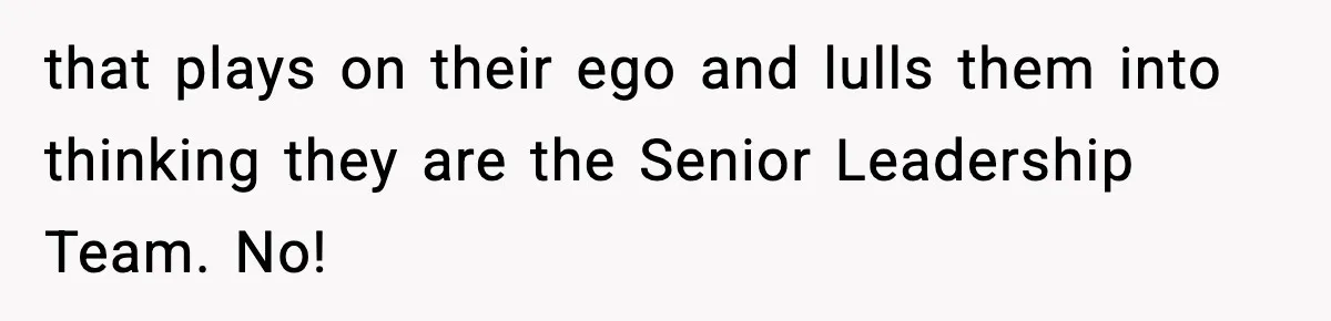 that plays on their ego and lulls them into thinking they are the Senior Leadership Team. No!