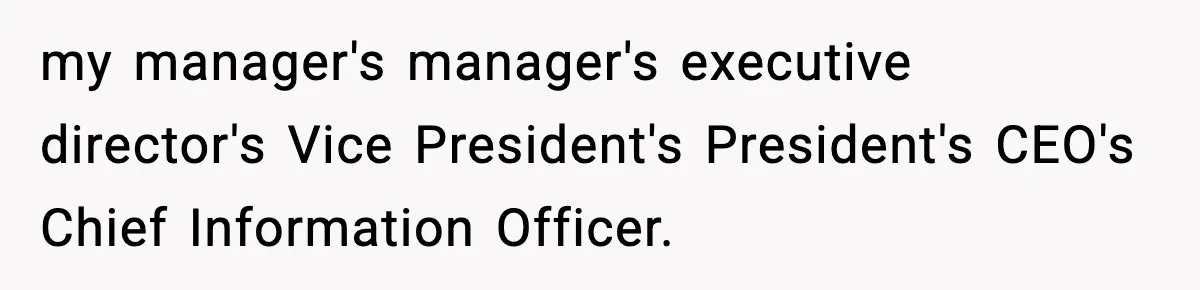 my manager's manager's executive director's Vice President's President's CEO's Chief Information Officer.