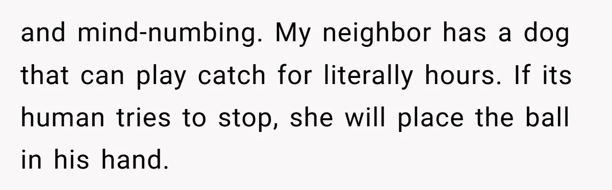 Woman Kicks Friend Out After She Insults Her Deaf Owner's Helpful Golden Retriever and mind-numbing. My neighbor has a dog that can play catch for literally hours. If its human tries to stop, she will place the ball in his hand.
