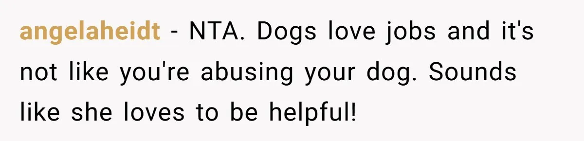 Woman Kicks Friend Out After She Insults Her Deaf Owner's Helpful Golden Retriever angelaheidt − NTA. Dogs love jobs and it's not like you're abusing your dog. Sounds like she loves to be helpful!