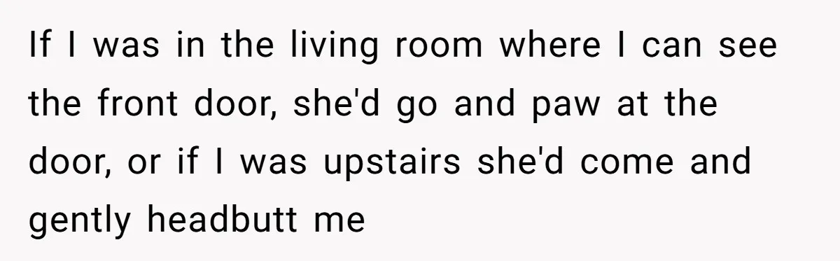 Woman Kicks Friend Out After She Insults Her Deaf Owner's Helpful Golden Retriever If I was in the living room where I can see the front door, she'd go and paw at the door, or if I was upstairs she'd come and gently...