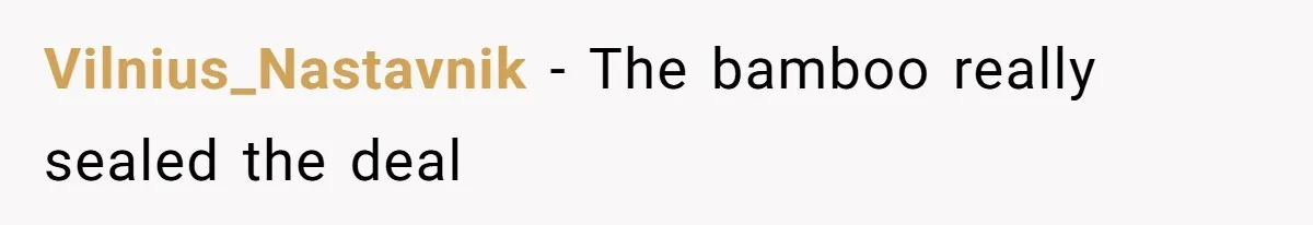 Vilnius_Nastavnik − The bamboo really sealed the deal