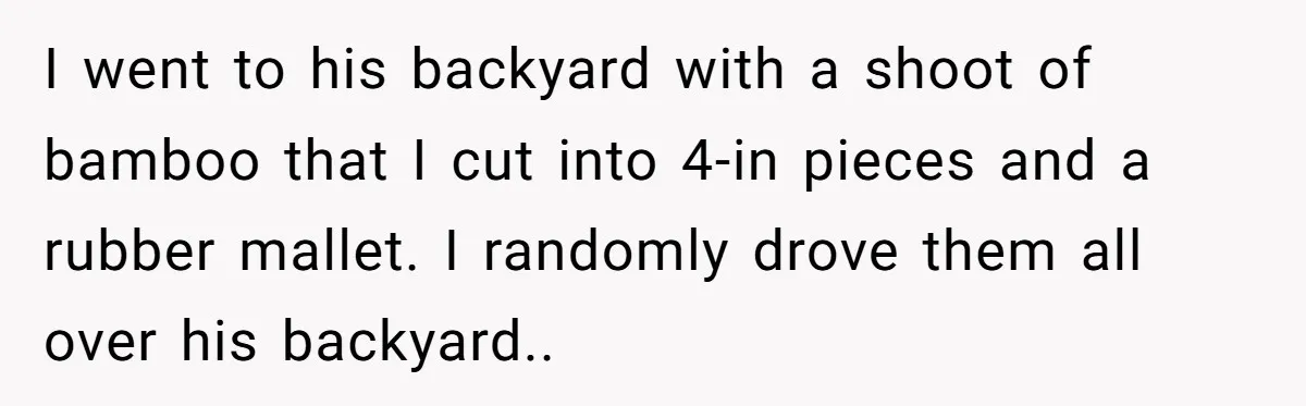 I went to his backyard with a shoot of bamboo that I cut into 4-in pieces and a rubber mallet. I randomly drove them all over his backyard..