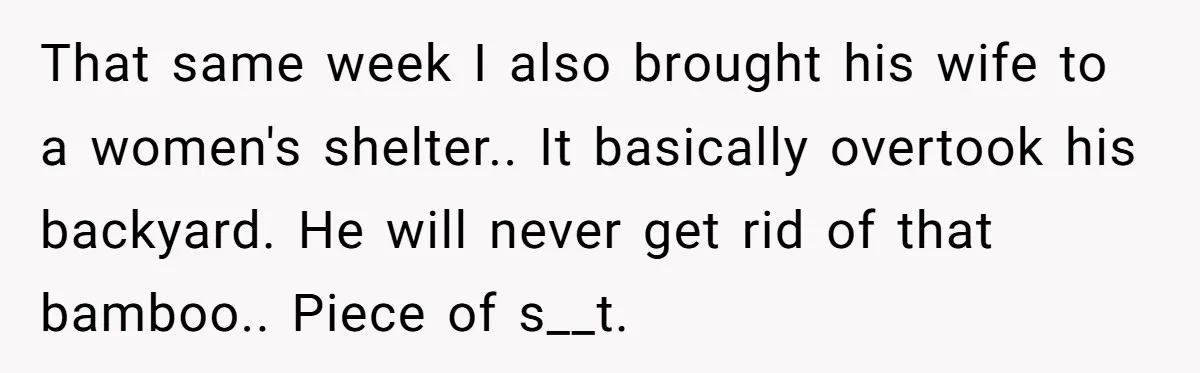 That same week I also brought his wife to a women's shelter.. It basically overtook his backyard. He will never get rid of that bamboo.. Piece of s__t.