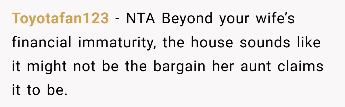 Toyotafan123 − NTA Beyond your wife’s financial immaturity, the house sounds like it might not be the bargain her aunt claims it to be.
