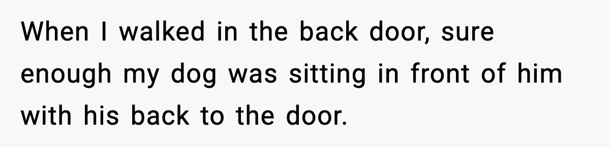 When I walked in the back door, sure enough my dog was sitting in front of him with his back to the door.