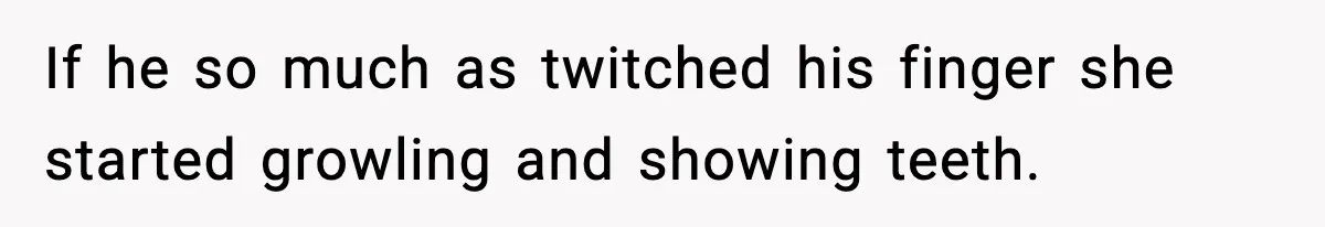 If he so much as twitched his finger she started growling and showing teeth.