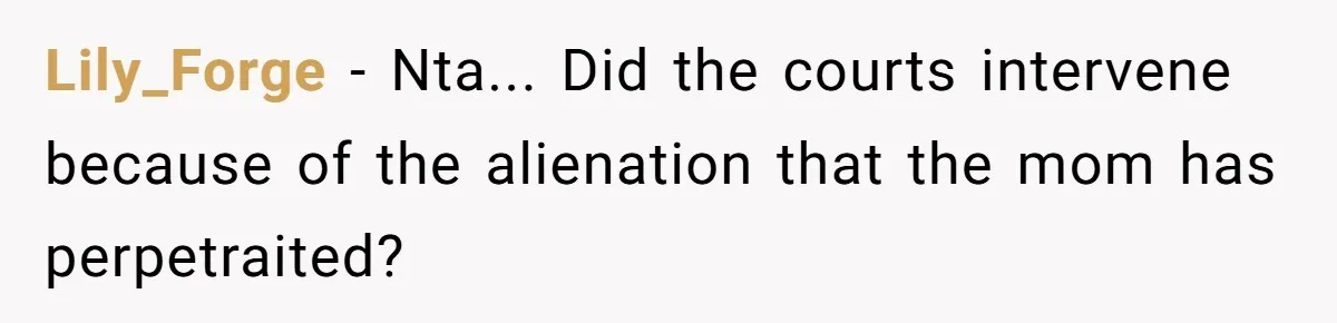 Lily_Forge - Nta... Did the courts intervene because of the alienation that the mom has perpetraited?