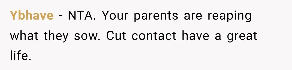 ‘You Need To Beg Just Right’: Parents Demand Help From The Son They Financially Neglected Ybhave - NTA. Your parents are reaping what they sow. Cut contact have a great life.