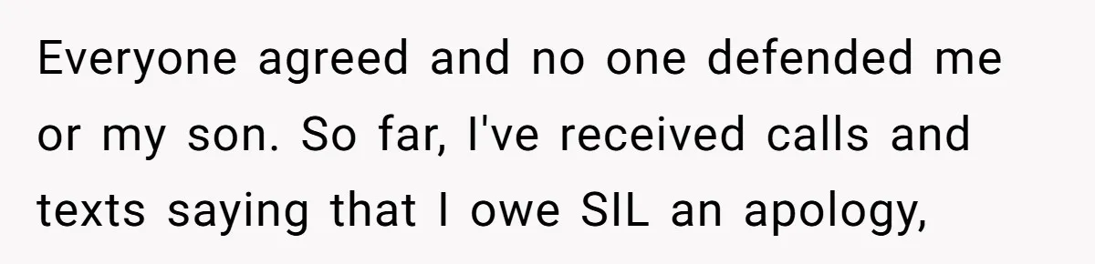 Everyone agreed and no one defended me or my son. So far, I've received calls and texts saying that I owe SIL an apology,