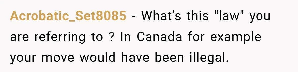 Acrobatic_Set8085 - What’s this "law" you are referring to ? In Canada for example your move would have been illegal.