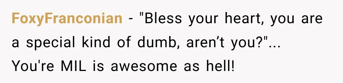 FoxyFranconian - "Bless your heart, you are a special kind of dumb, aren’t you?"... You're MIL is awesome as hell!