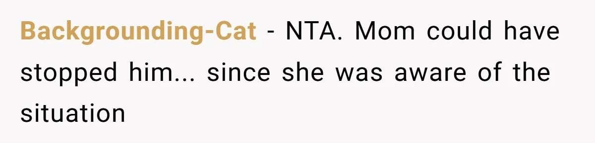 Backgrounding-Cat - NTA. Mom could have stopped him... since she was aware of the situation