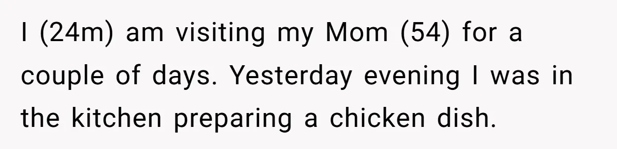 I (24m) am visiting my Mom (54) for a couple of days. Yesterday evening I was in the kitchen preparing a chicken dish.