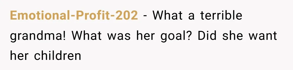 Emotional-Profit-202 - What a terrible grandma! What was her goal? Did she want her children