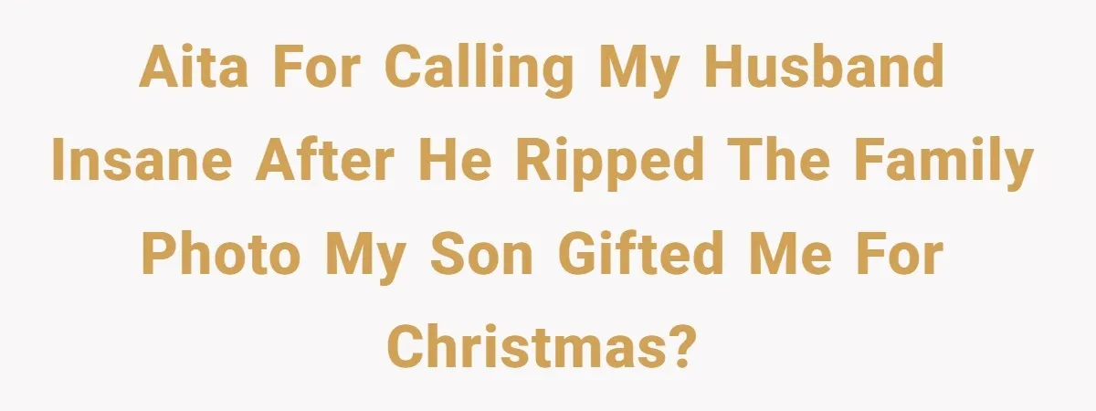 AITA for calling my husband insane after he ripped the family photo my son gifted me for christmas?