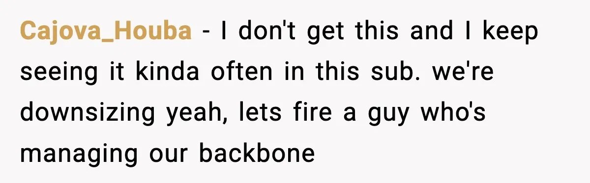 Cajova_Houba - I don't get this and I keep seeing it kinda often in this sub. we're downsizing yeah, lets fire a guy who's managing our backbone