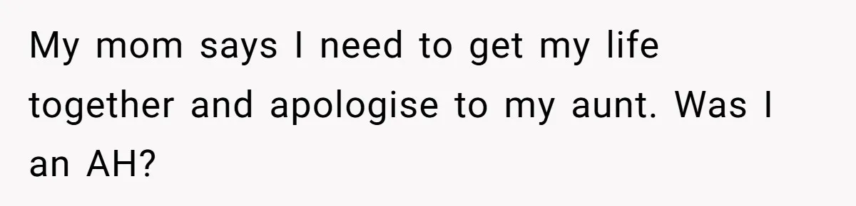 My mom says I need to get my life together and apologise to my aunt. Was I an AH?