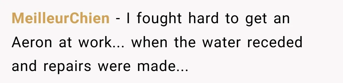 MeilleurChien - I fought hard to get an Aeron at work... when the water receded and repairs were made...