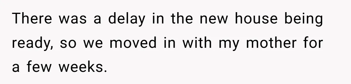 There was a delay in the new house being ready, so we moved in with my mother for a few weeks.