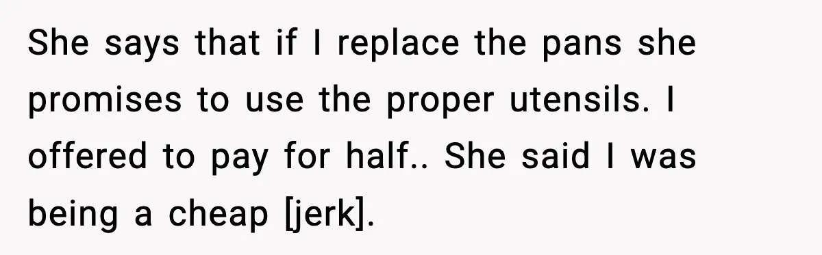 She says that if I replace the pans she promises to use the proper utensils. I offered to pay for half.. She said I was being a cheap [jerk].
