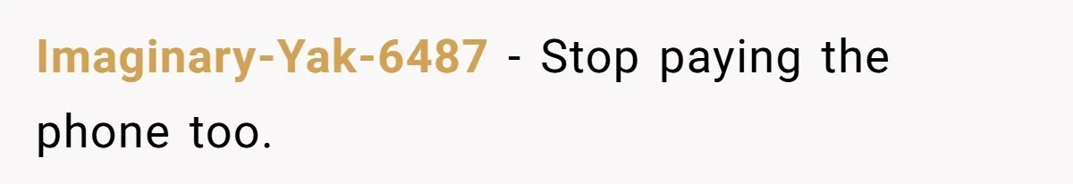 Imaginary-Yak-6487 - Stop paying the phone too.