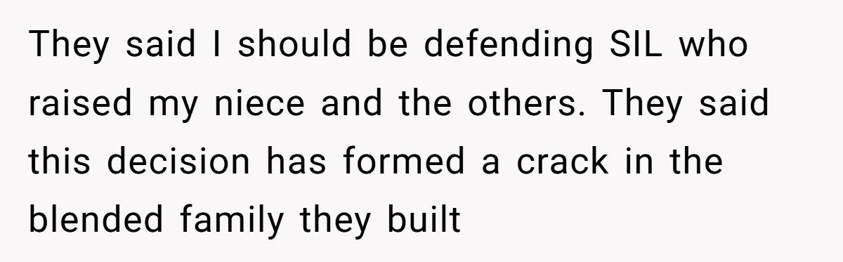 They said I should be defending SIL who raised my niece and the others. They said this decision has formed a crack in the blended family they built