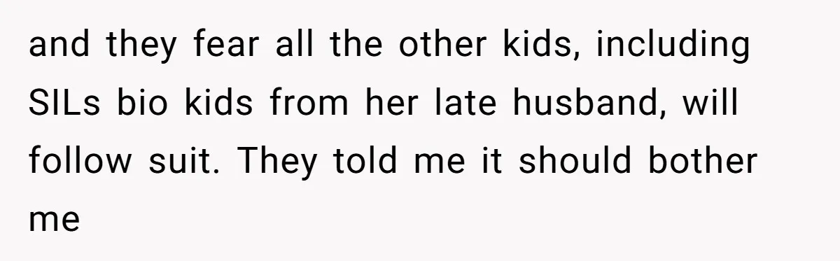 and they fear all the other kids, including SILs bio kids from her late husband, will follow suit. They told me it should bother me