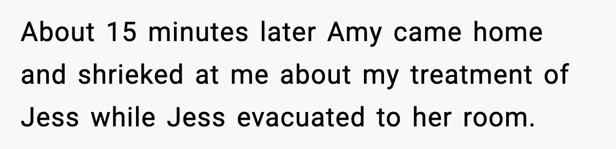 About 15 minutes later Amy came home and shrieked at me about my treatment of Jess while Jess evacuated to her room.