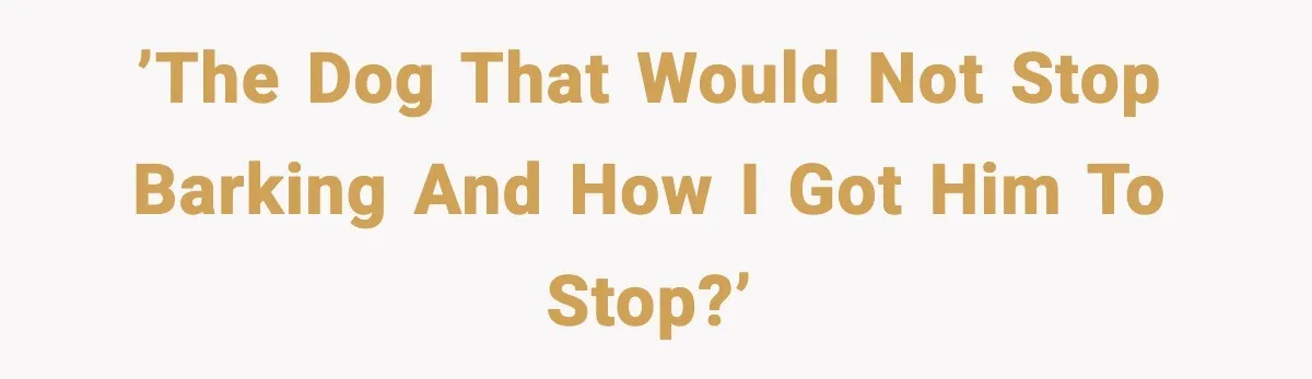 ’The dog that would not stop barking and how I got him to stop?’