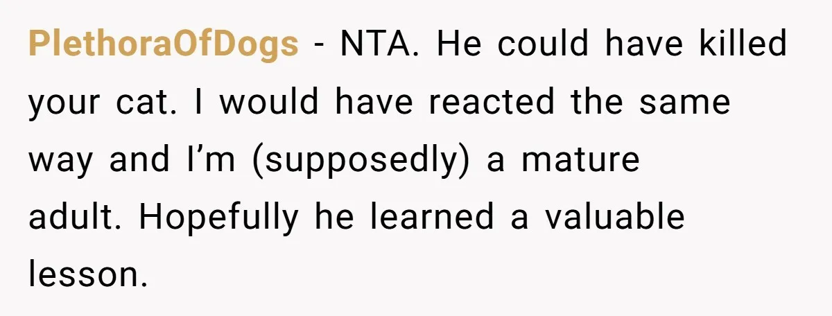 PlethoraOfDogs - NTA. He could have killed your cat. I would have reacted the same way and I’m (supposedly) a mature adult. Hopefully he learned a valuable lesson.