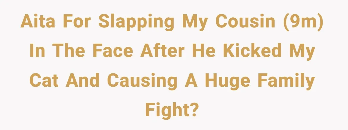 AITA for slapping my cousin (9m) in the face after he kicked my cat and causing a huge family fight?