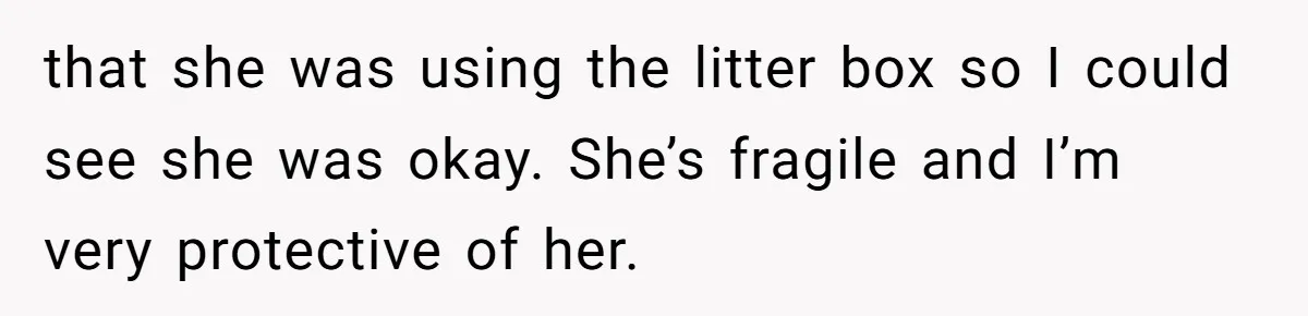 that she was using the litter box so I could see she was okay. She’s fragile and I’m very protective of her.