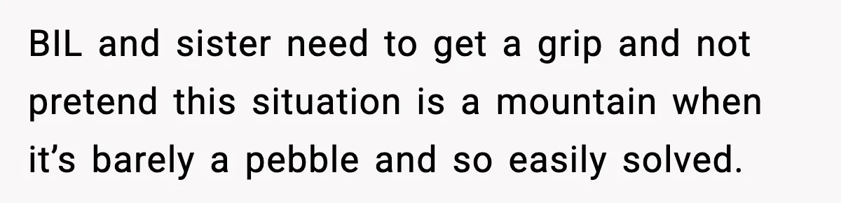 Sister Refuses Free Childcare And Her Brother In Law Loses His Mind BIL and sister need to get a grip and not pretend this situation is a mountain when it’s barely a pebble and so easily solved.