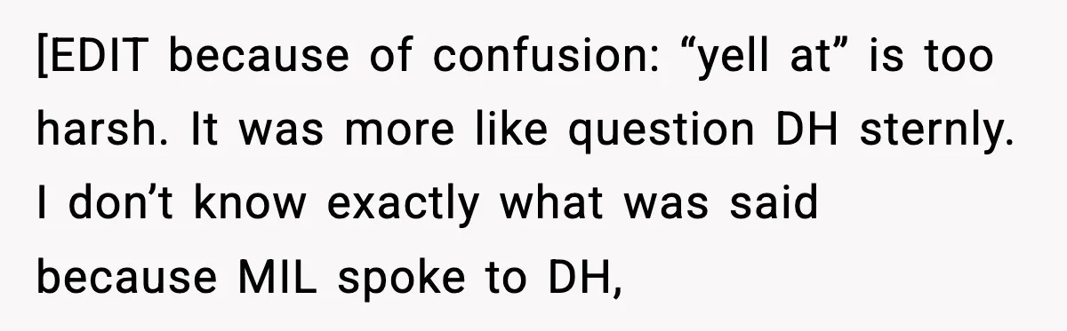 Aunt-In-Law Shames Pregnant Woman at Dinner and Sparks a Family Meltdown [EDIT because of confusion: “yell at” is too harsh. It was more like question DH sternly. I don’t know exactly what was said because MIL spoke to DH,