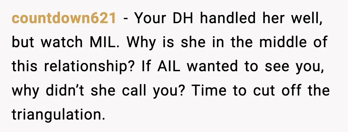 Aunt-In-Law Shames Pregnant Woman at Dinner and Sparks a Family Meltdown countdown621 - Your DH handled her well, but watch MIL. Why is she in the middle of this relationship? If AIL wanted to see you, why didn’t she call you?...