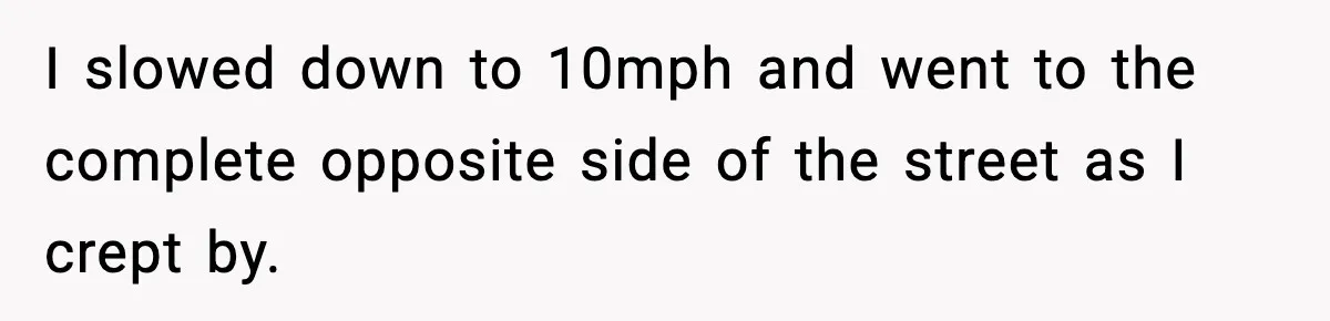 I slowed down to 10mph and went to the complete opposite side of the street as I crept by.