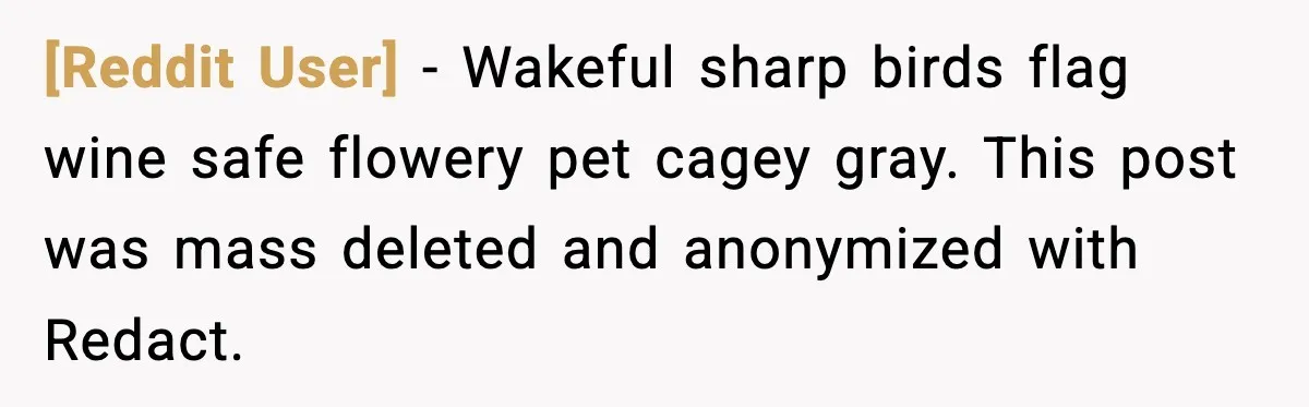 [Reddit User] - Wakeful sharp birds flag wine safe flowery pet cagey gray. This post was mass deleted and anonymized with Redact.