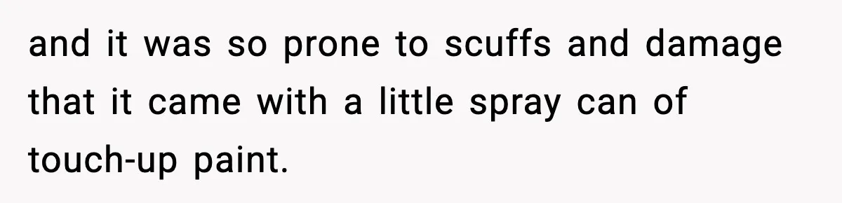 and it was so prone to scuffs and damage that it came with a little spray can of touch-up paint.