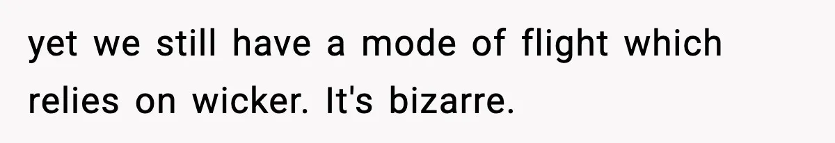 yet we still have a mode of flight which relies on wicker. It's bizarre.