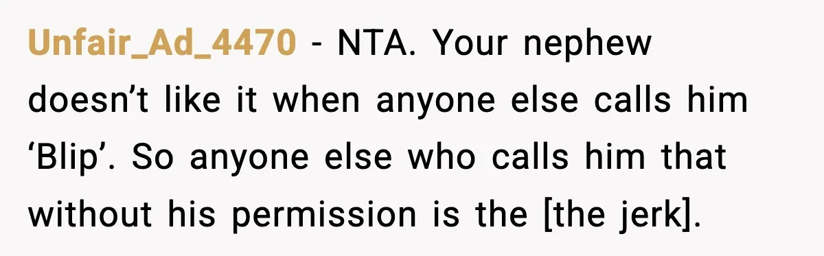 Unfair_Ad_4470 - NTA. Your nephew doesn’t like it when anyone else calls him ‘Blip’. So anyone else who calls him that without his permission is the [the jerk].