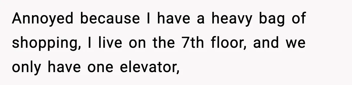 Annoyed because I have a heavy bag of shopping, I live on the 7th floor, and we only have one elevator,