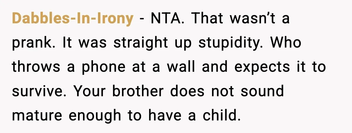 Dabbles-In-Irony - NTA. That wasn’t a prank. It was straight up stupidity. Who throws a phone at a wall and expects it to survive. Your brother does not sound mature...