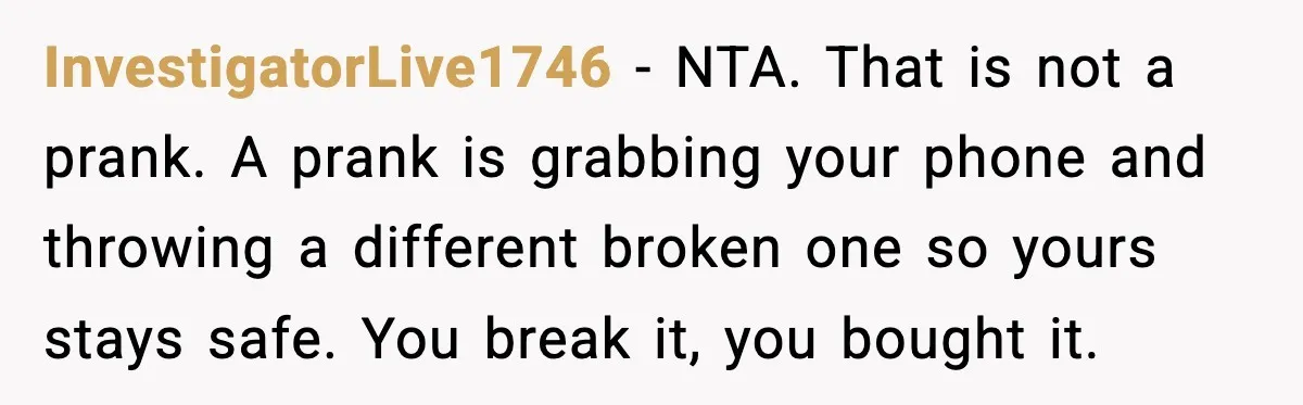 InvestigatorLive1746 - NTA. That is not a prank. A prank is grabbing your phone and throwing a different broken one so yours stays safe. You break it, you bought it.